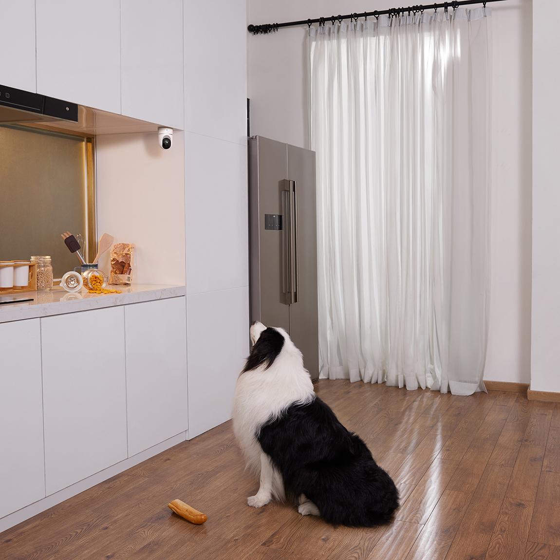 eufy Solo IndoorCam Pan & Tilt 2_Lifestyle_mit Hund
