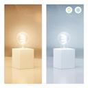 WiZ Tunable White & Color E27 A60 40W - Smarte Filament Lampe