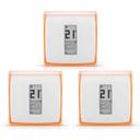 Netatmo Smart Thermostat - Multi-Zone 3er-Set