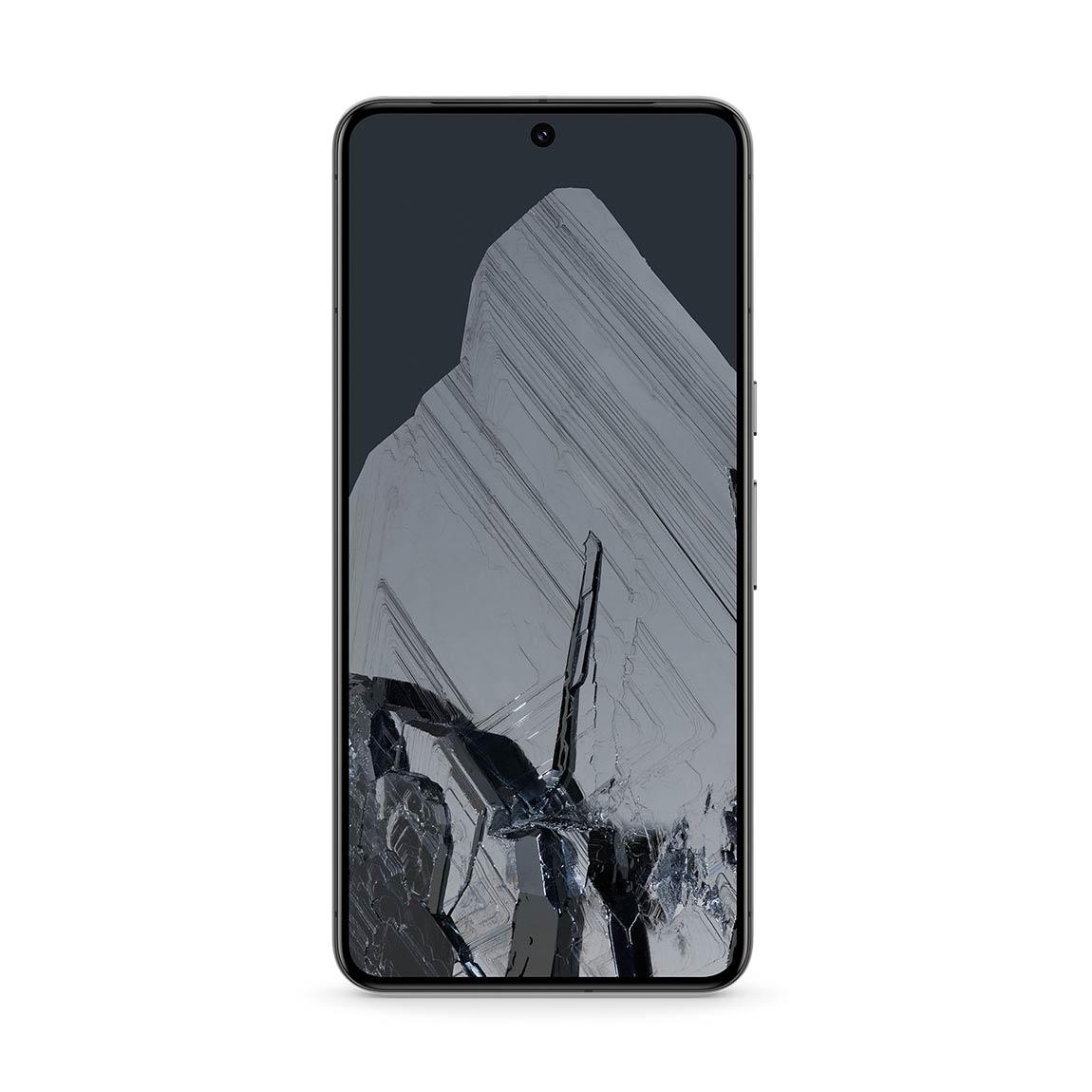 Google Pixel 8 256 Gb + Case