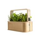 BerlinGreen GreenBox_schraeg