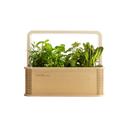 BerlinGreen GreenBox