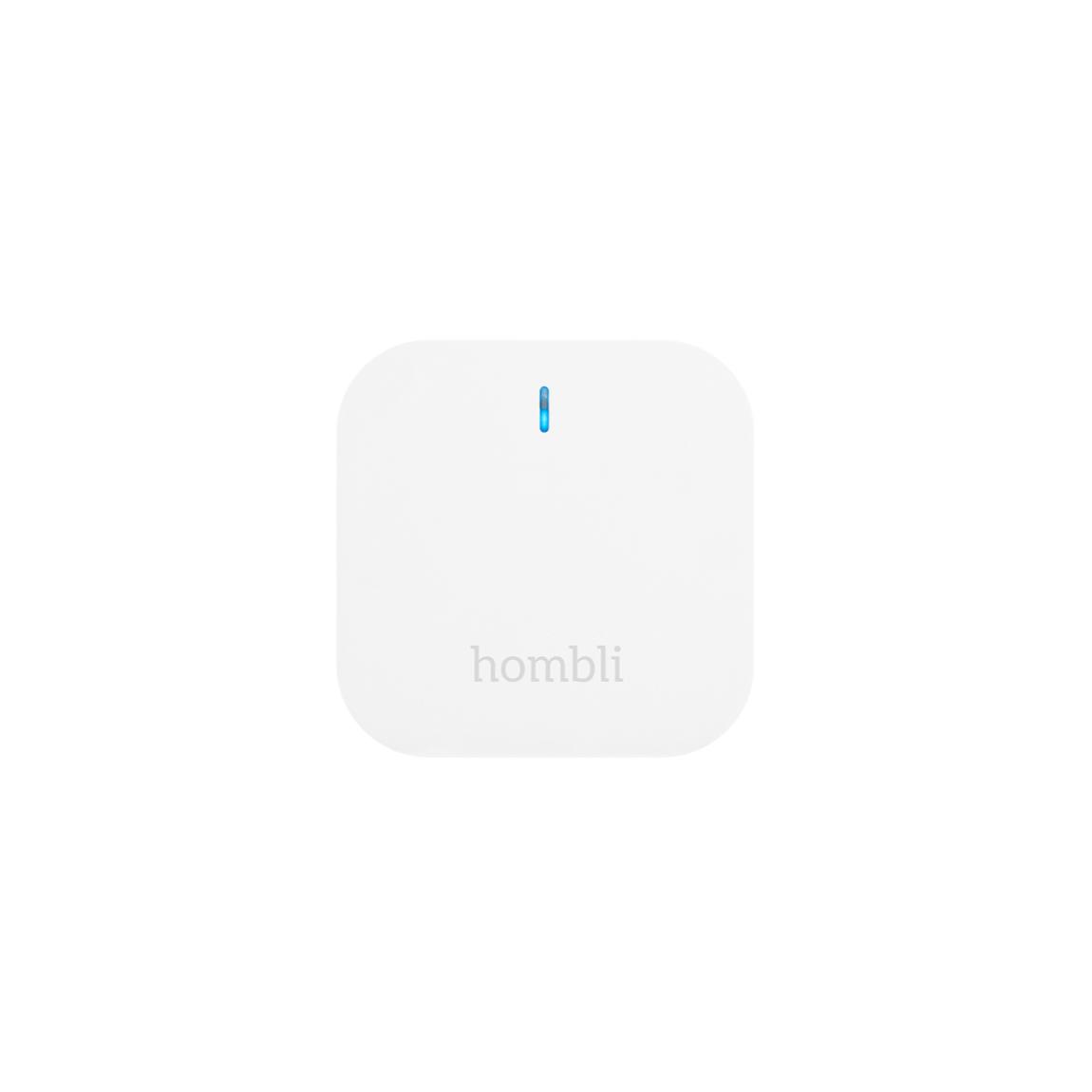 Hombli Bluetooth Bridge_frontal