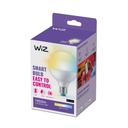 WiZ Globe Tunable White E27 75W matt - Smarte Globe-Lampe