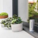 Netatmo Innenmodul - 2er-Set_auf Fensterbank