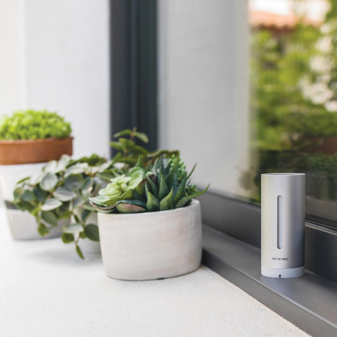 Netatmo Innenmodul - 2er-Set_auf Fensterbank