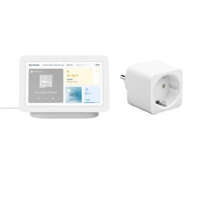 Google Nest Hub (2. Generation) + Philips Hue Smart Plug